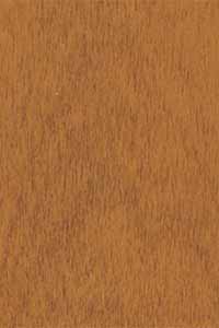 Butternut Stain on Alder